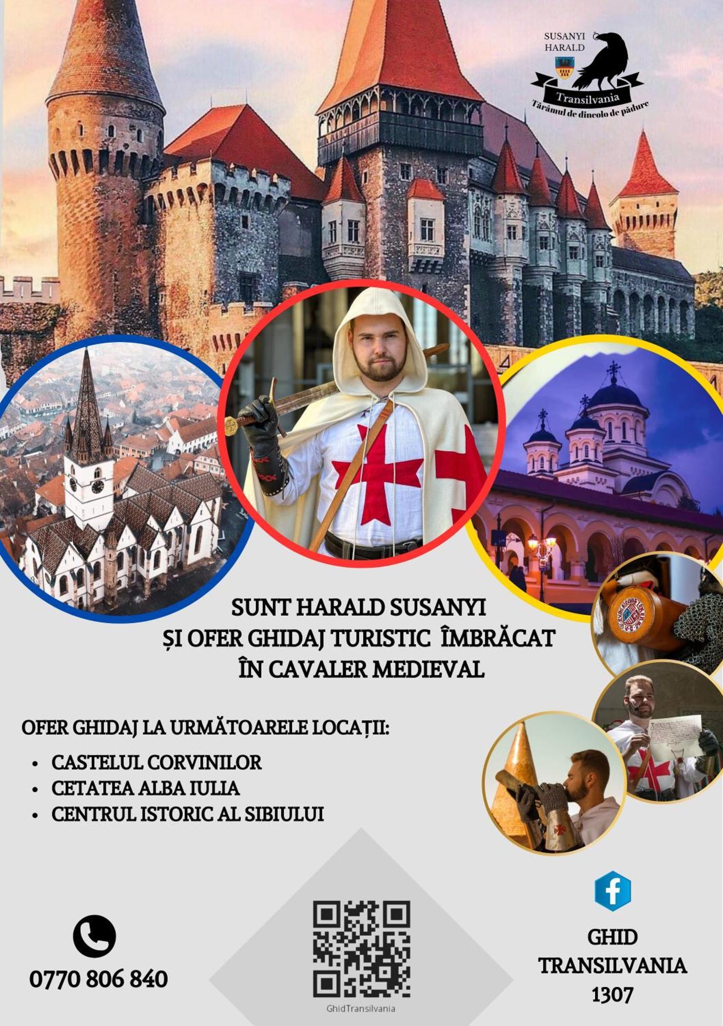Hanul Huniazilor Hunedoara Exterior foto